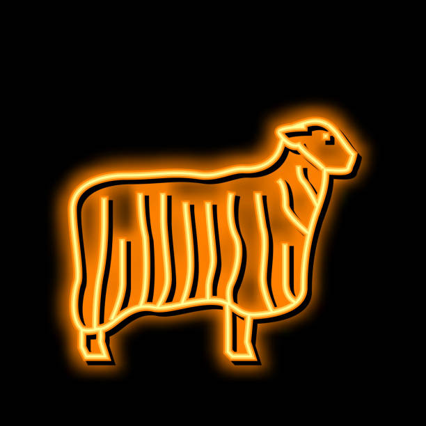 stockillustraties, clipart, cartoons en iconen met 13 teeswater sheep neon glow icon illustration - texel