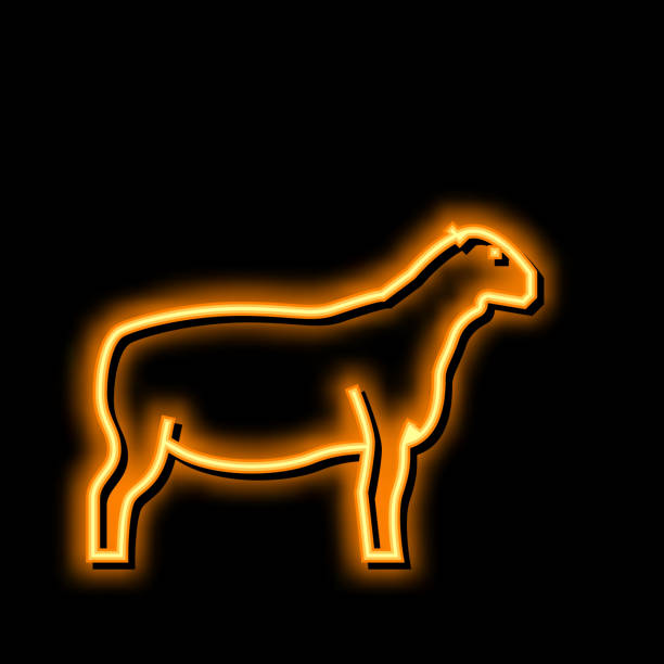 stockillustraties, clipart, cartoons en iconen met texel sheep neon glow icon illustration - texel