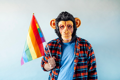 Man in monkey mask holding gay flag.