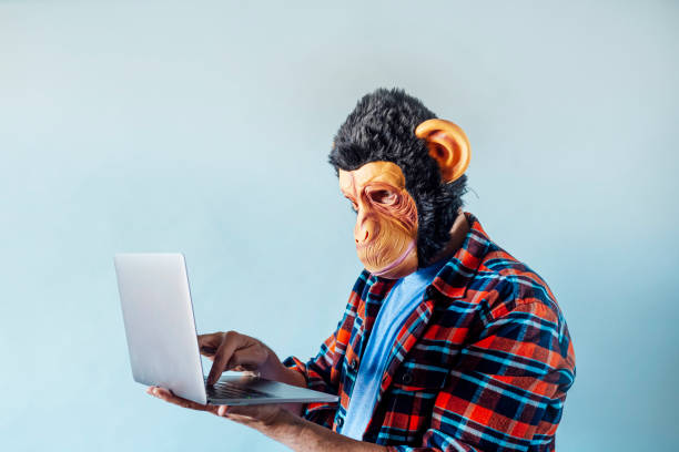 Monkey Using Key Monkey Typing On Keyboard