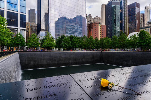 New York, USA, August 2022 - A yellow rose on the 9/11 memorial in NYC