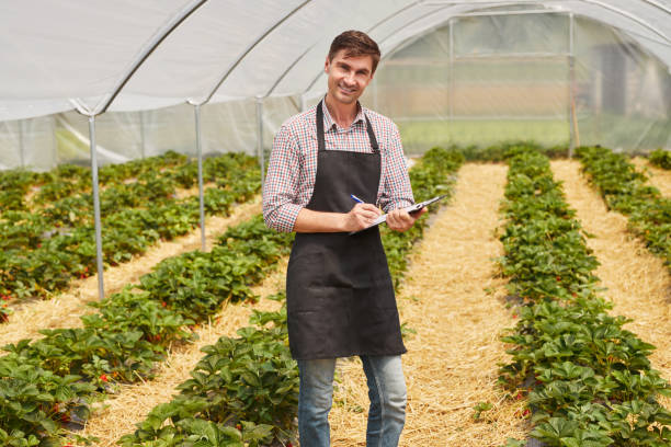 istock Male farmer making notes in greenhouse 1475820383