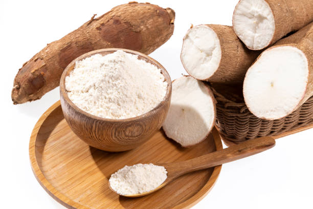 istock Raw Cassava Tuber And Starch - Manihot Esculenta; On White Background 1475821168
