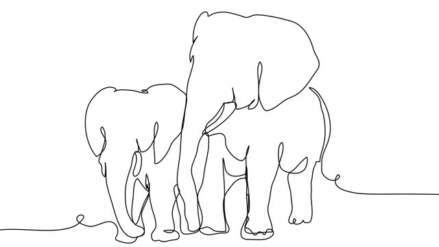 Self-drawing two elephants with one line on a white screen.