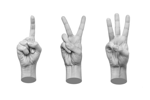 istock Set of 3d hands showing gestures counting one, two, three numbers isolated on a white background 1475825152