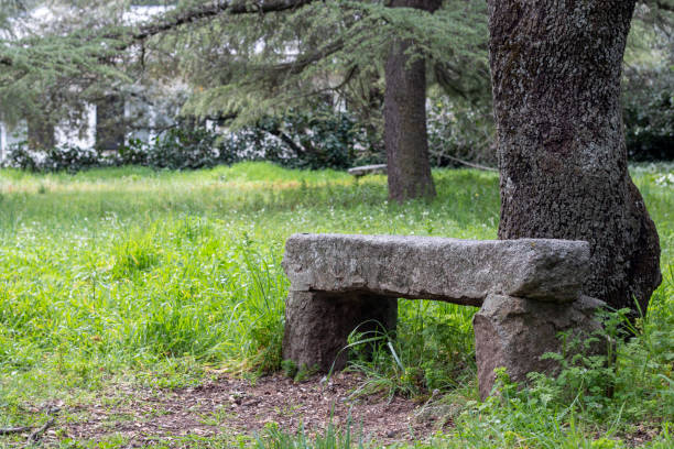 istock Granite stone bench in a green garden in early spring 1475827794