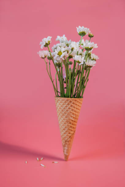 istock Waffle cone with bouquet of beautiful white Chrysanthemums 1475829766