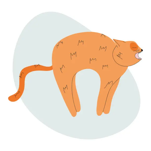 Vector illustration of Cartoon red cat with horror, fear or anger arches its back