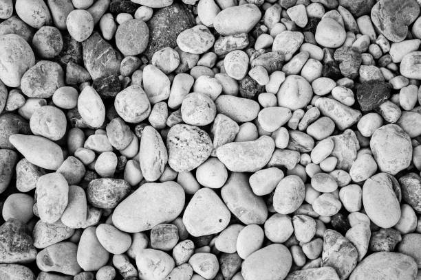istock Pebble background, top view. Beach pebbles for publication, design, poster, calendar, post, screensaver, wallpaper, card, banner, cover, website. Gray toned high quality photo 1475834242