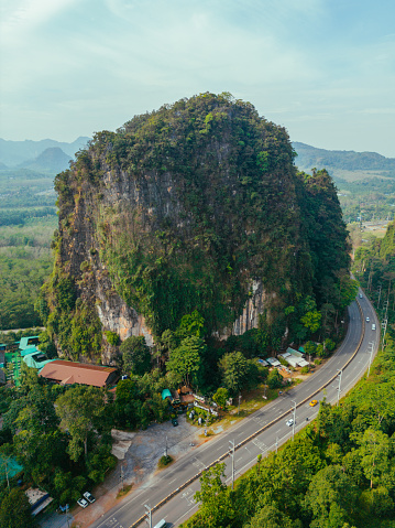 Aerial view of road through huge palm oil trees plantation in Thailand