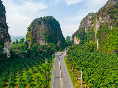 Aerial view of road through huge palm oil trees plantation in Thailand
