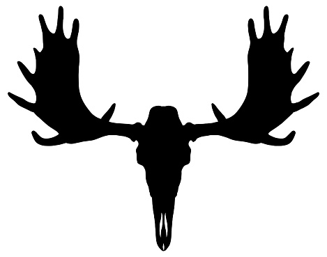 black vector silhouette of a moose skull with antlers