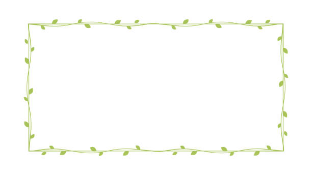 ilustrações, clipart, desenhos animados e ícones de quadros e bordas da videira verde retângulo, ilustração vetorial do elemento de design botânico floral - cute decoration invitation vine