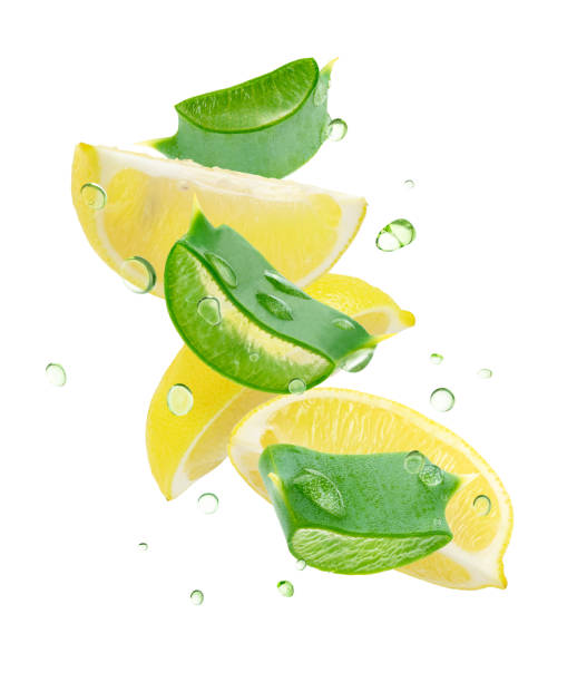 istock Aloe vera slices with lemon isolated on white background with clipping path. Flying composition 1475856196
