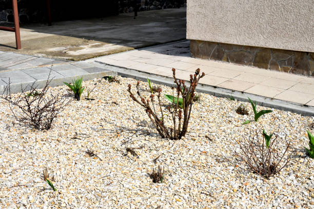 istock Repair in a cozy private Kharkov courtyard 1475861235