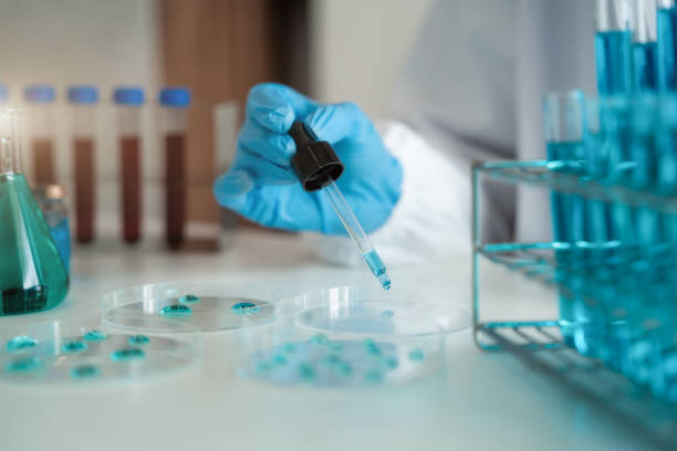 istock Science and medicine, scientist analyzing and dropping a sample into a glassware, experiments containing chemical liquid in laboratory on glassware, innovative and technology. 1475864344
