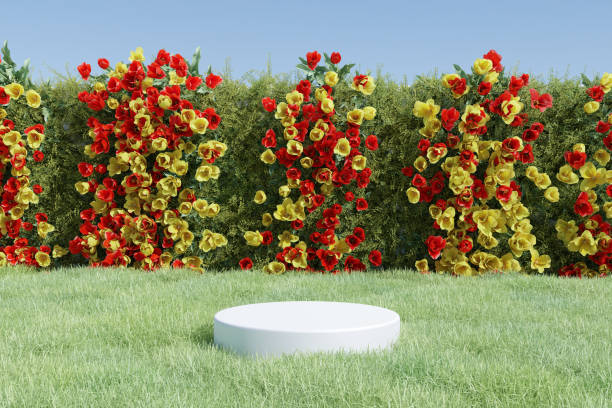 istock Abstract 3d render spring scene and Natural podium background, White stone podium on the grass field, backdrop colorful flowers wall for product display advertising, cosmetic, etc 1475865321