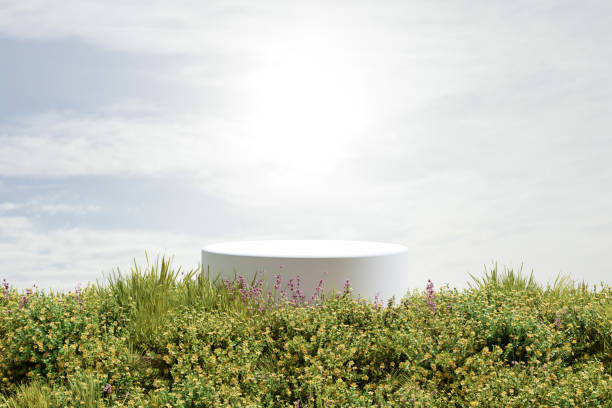 istock Abstact 3d render spring scene and Natural podium background,  White stone podium on the colorful flowers and grass field, backdrop blue sky and sunlight for product display advertising or etc 1475865325