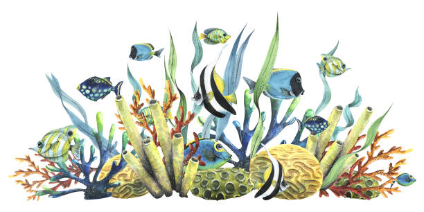 istock Bright reef fish with corals, sea sponges and algae. Watercolor illustration. Composition from the collection TROPICAL FISHES. For decoration and design of summer and beach prints, stickers 1475871935