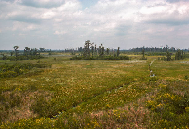 Okefenokee NWR - Open Wetlands - 1976