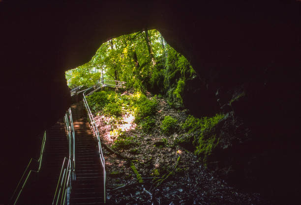 Mammoth Cave National Park