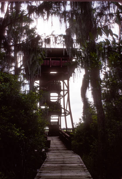 Okefenokee NWR - Owls Roost Observation Tower - 1976