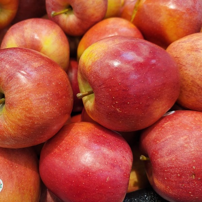 Honeycrisp apples on display in a local grocery store. Missouri, MO, United States, US, USA