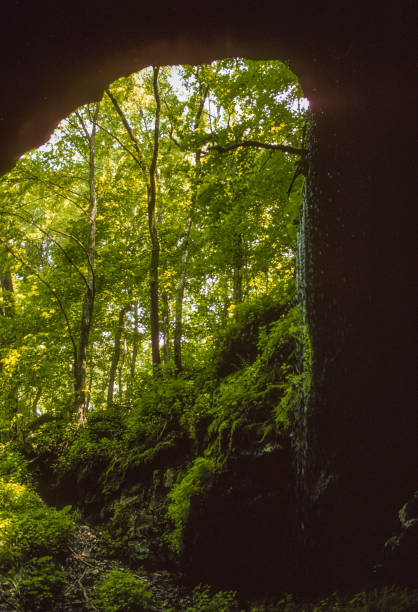 Mammoth Cave NP - Natural Entrance Vertical Looking Out - 1992