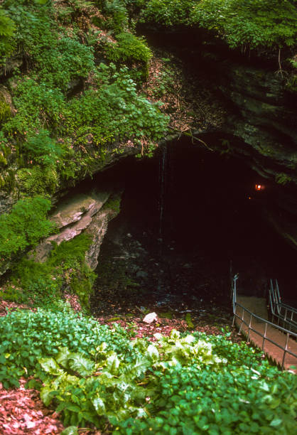 istock Mammoth Cave NP - Natural Entrance Looking In - 1992 1475876831