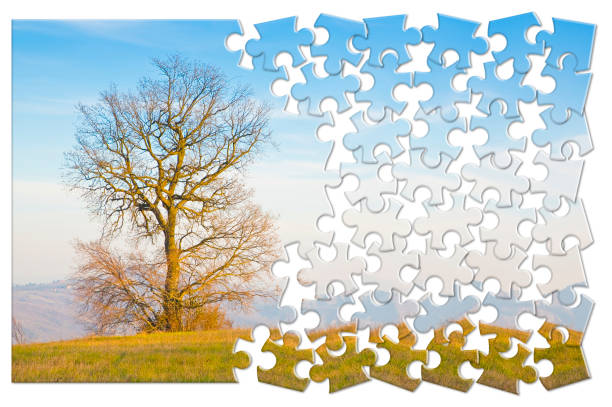 istock Lone tree in a agricultural field - environmental conservation concept in jigsaw puzzle shape 1475881349