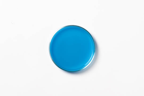 istock Petri dish with blue, blue liquid. On a white, light background. View from above. 1475881890