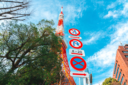 Japan road sign with background of Tokyo Tower and branches of the fall leaves tree