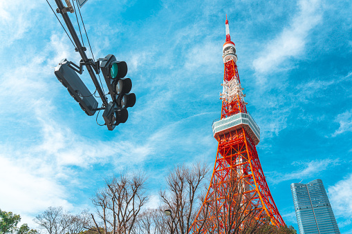 Japan road traffic light background of Tokyo Tower and branches of the fall leaves tree