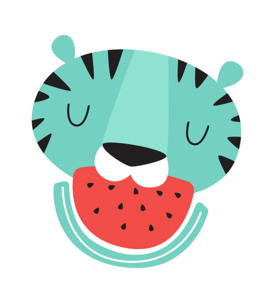 illustrations, cliparts, dessins animés et icônes de le tigre mange de la pastèque - purebred cat illustrations