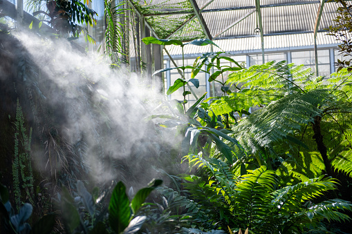 a horizontal photo of a greenhouse with steam streaming through trees
