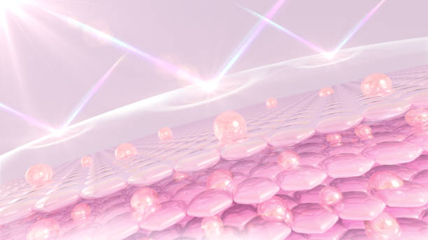 istock UV-protected 3D rendering of skin cells 1475889012