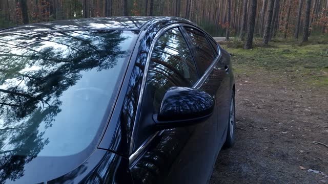 Black car parked in forest