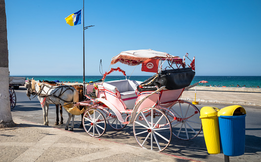 A pink horse-drawn carriage waits for customers next to Bou Jaafar Beach in Sousse, Tunisia.