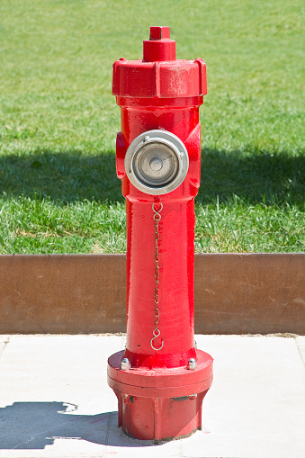 Backflow preventers, used to prevent water from fire suppression systems from entering domestic water supplies.