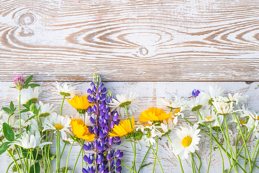 Frame of wild flowers on white paint rustic wooden background;