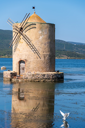 Windmill and Heron In The Lagoon Of Orbitello, Tuscany
