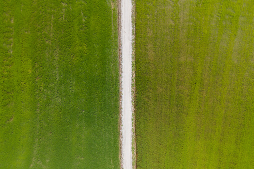 Aerial view of symmetry paddy field