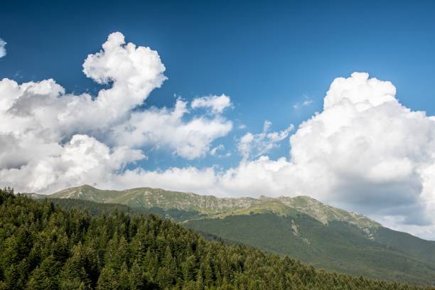 istock Mountain panorama with trees and cloudy sky 1475910473