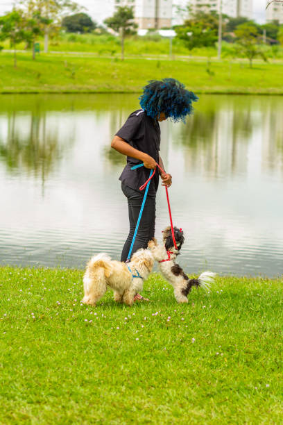 istock A young woman and her dogs. 1475914067