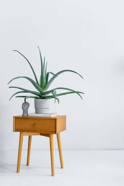 istock the bedside table with a plant on it in front of white wall 1475919670