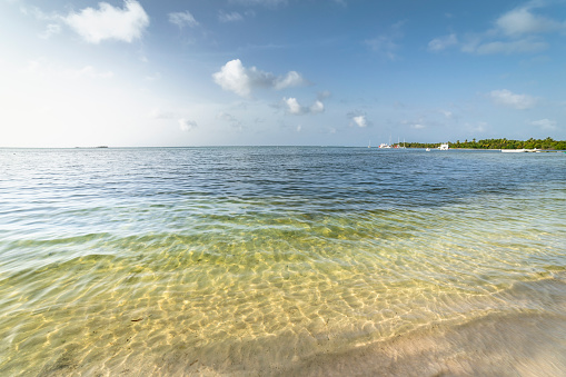 Caribbean tropical beach with boats and sailboats in Saona island, Punta Cana at sunny day, Dominican Republic