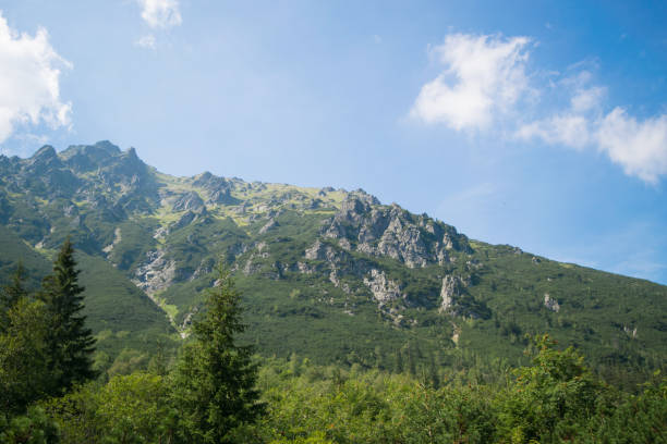 istock Tatra Mountains. View of the mountains covered with forest 1475924850