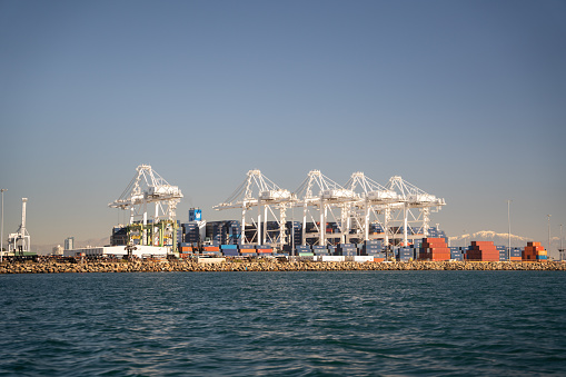 The Port of Los Angeles is one of the busiest cargo ports in the world, and large cargo ships are a common sight there. These ships can range from hundreds to thousands of feet long and carry a variety of goods such as electronics, clothing, and machinery. They are often equipped with multiple cranes to unload their cargo quickly and efficiently. The ships are manned by skilled crews who handle navigation, loading and unloading, and maintenance. The sight of these massive vessels in the harbor is awe-inspiring, reminding us of the enormous amount of goods that are transported across the world's oceans every day.
