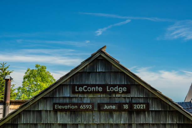 mount leconte lodge sous ciel bleu le 18 juin 2021 - roof gatlinburg mountain wood photos et images de collection