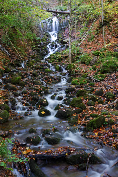 istock Yedigoller National Park - Bolu 1475933236